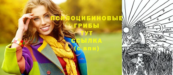 мяу мяу мука Пионерский