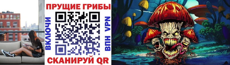 Псилоцибиновые грибы GOLDEN TEACHER где продают наркотики Циолковский