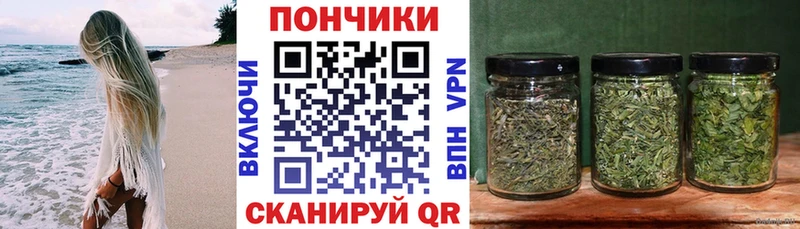 как найти закладки  Циолковский  Шишки марихуана MAZAR 